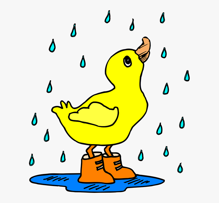 Rain, Duck, Puddle, Boots, Water, Bird, Cute, Animal - Duck In The Rain Clipart, HD Png Download, Free Download