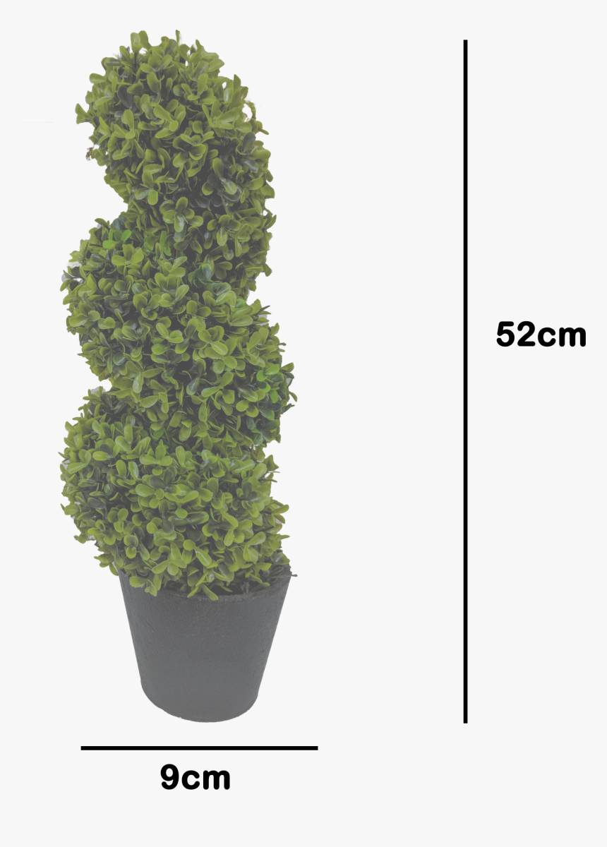 Transparent Potted Tree Png - Houseplant, Png Download, Free Download