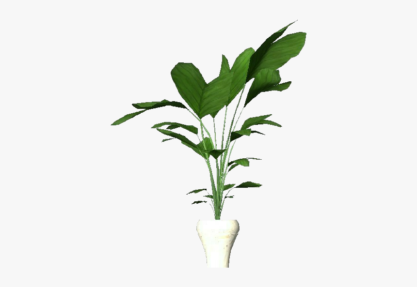 Potted Plant For Apartments - Apartment Flower Png, Transparent Png, Free Download