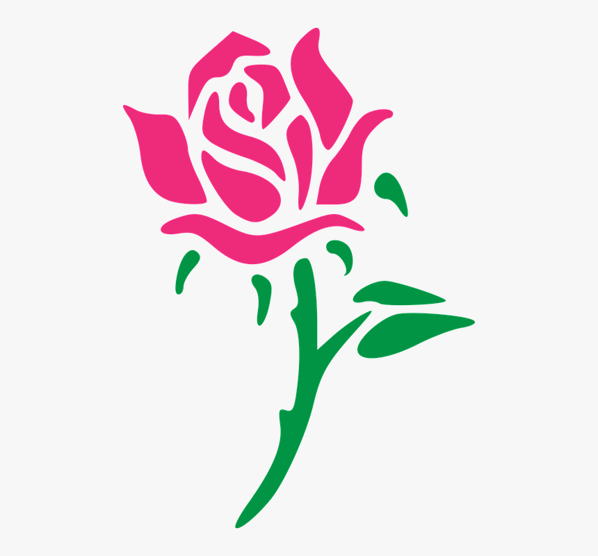 Rose, Pink, Green, Antique, Floral, Plant, Bud, Thorn - Graphic Rose, HD Png Download, Free Download