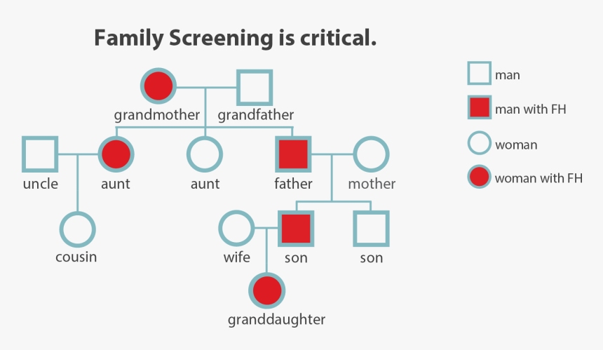 Familial Hypercholesterolemia Pedigree Chart, HD Png Download, Free Download