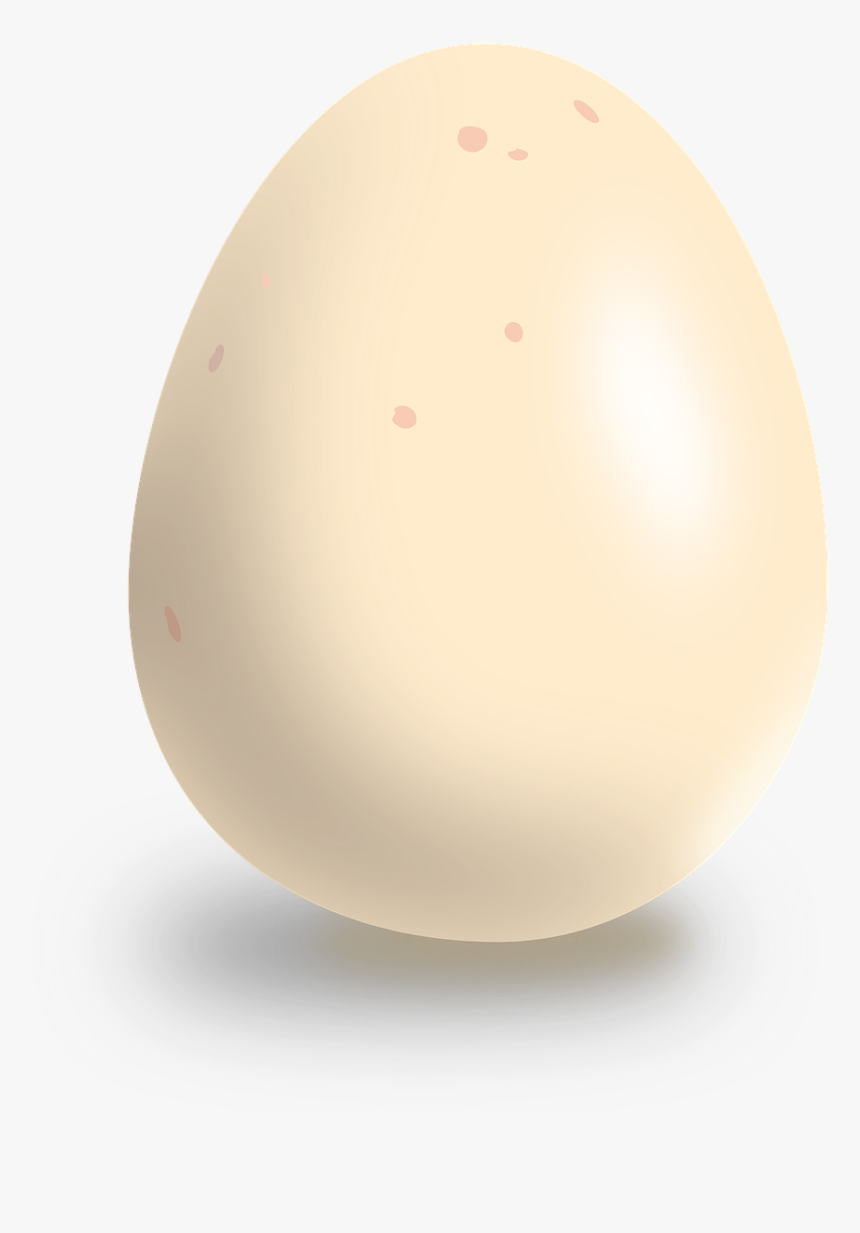 White Egg Png, Transparent Png, Free Download