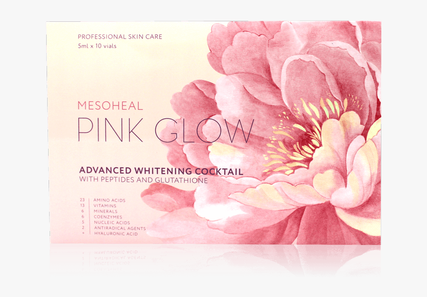 Pink Glow - Garden Roses, HD Png Download, Free Download