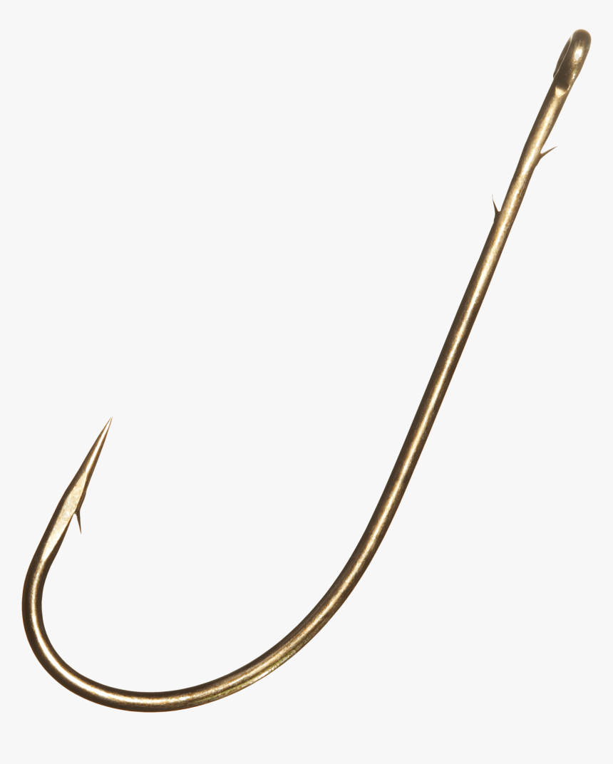 Large Fish Hook - Fish Hook Png, Transparent Png, Free Download