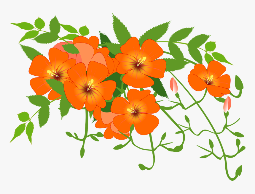 Flower Vine Clipart, HD Png Download, Free Download