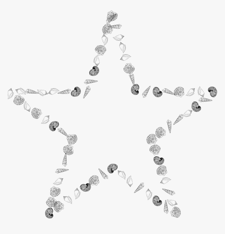 Star Shells Clip Arts - Portable Network Graphics, HD Png Download, Free Download