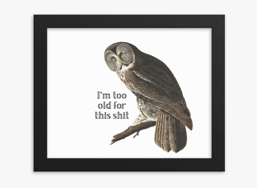 Too Old Framed Poster"
 Srcset="data - Effin Birds Happy Birthday, HD Png Download, Free Download