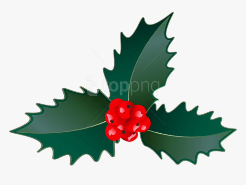 Holly,tree,clip Cherry,flowering Plant,currant,graphics - Illustration, HD Png Download, Free Download