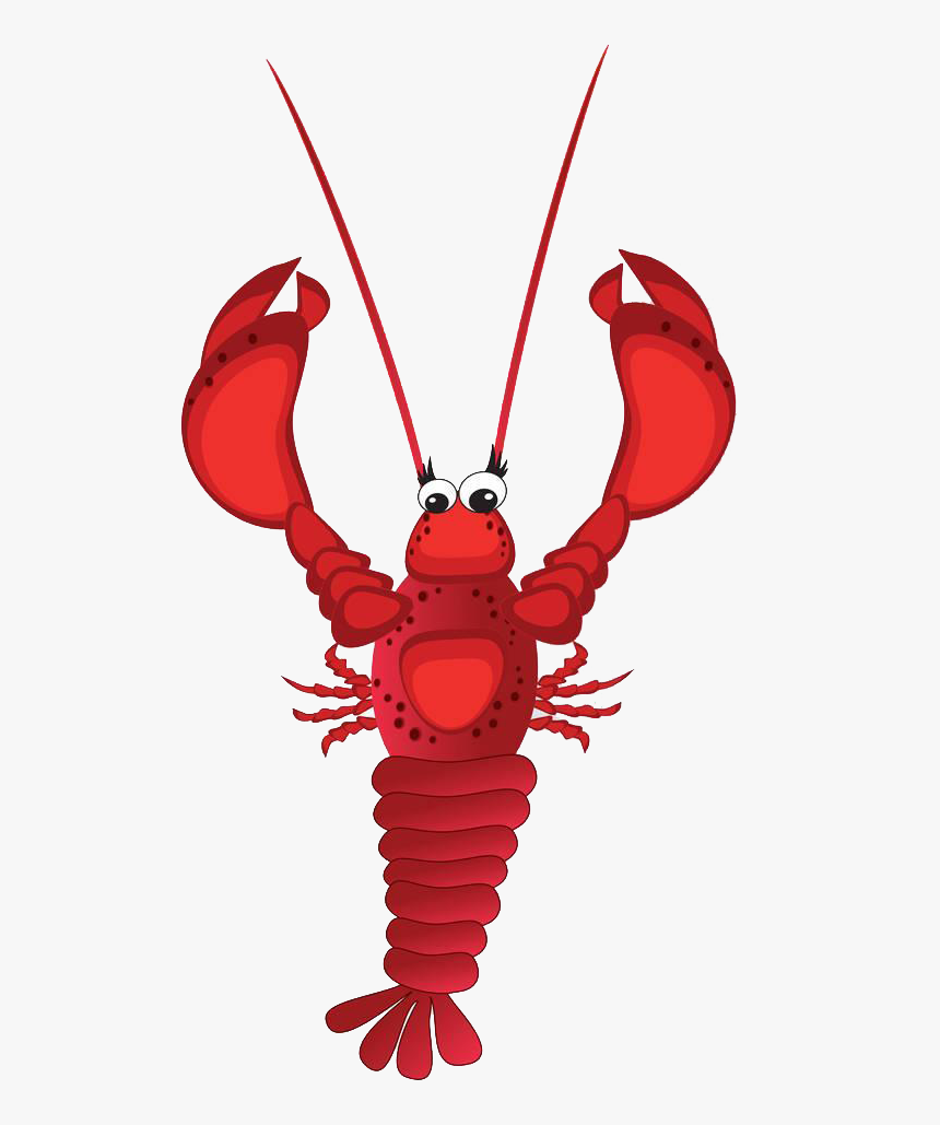 Homarus Crayfish Illustration - Lobster, HD Png Download, Free Download