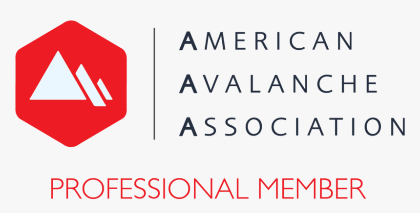 Aaa Logo Pro Member - American Avalanche Association, HD Png Download, Free Download