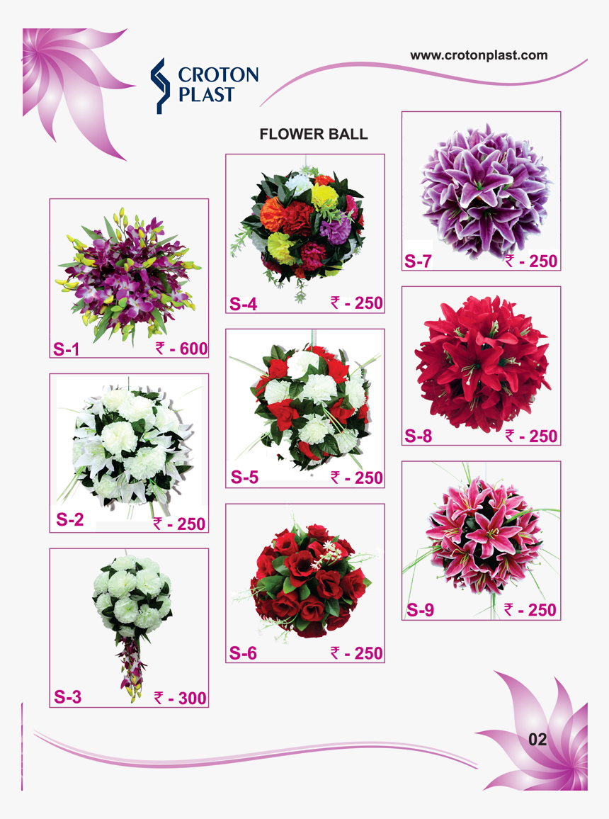 Img - Chrysanths, HD Png Download, Free Download