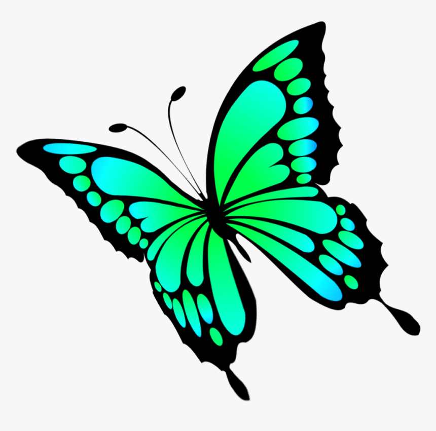 Turquoise Butterfly Clipart - Papilio Machaon, HD Png Download, Free Download