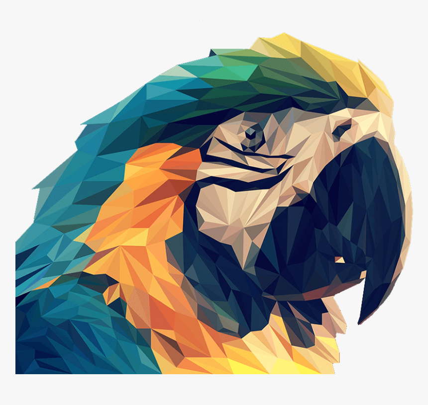 Web Designer Doylestown, Bucks County Pa - Parrot, HD Png Download, Free Download