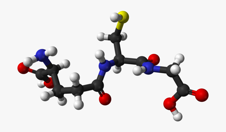 Thumb Image - L Glutathione Molecule, HD Png Download, Free Download