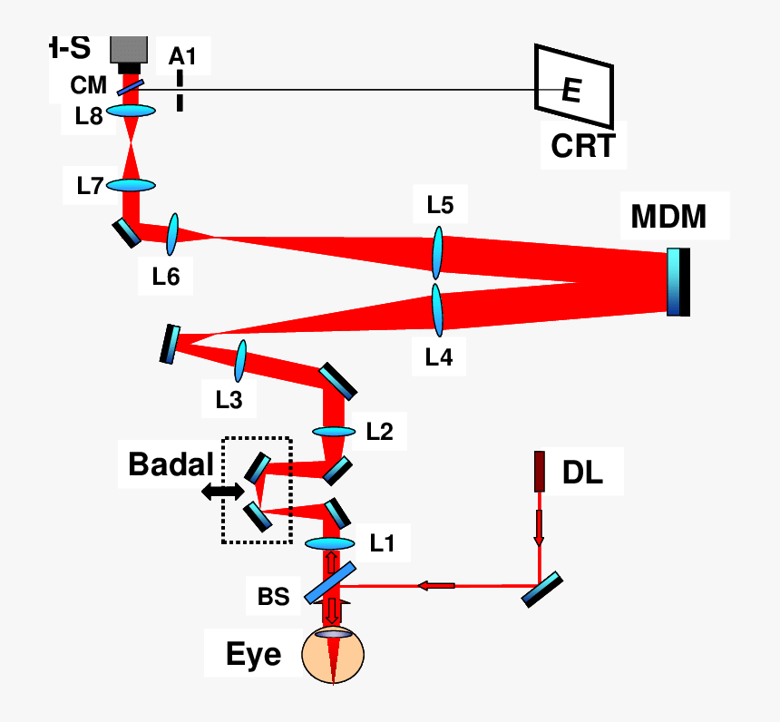 Diagram, HD Png Download, Free Download