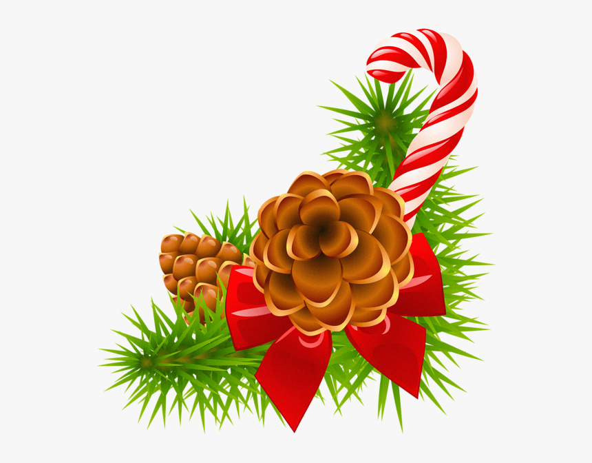 Christmas Pine With Cones - Christmas Pine Cones Clipart, HD Png Download, Free Download