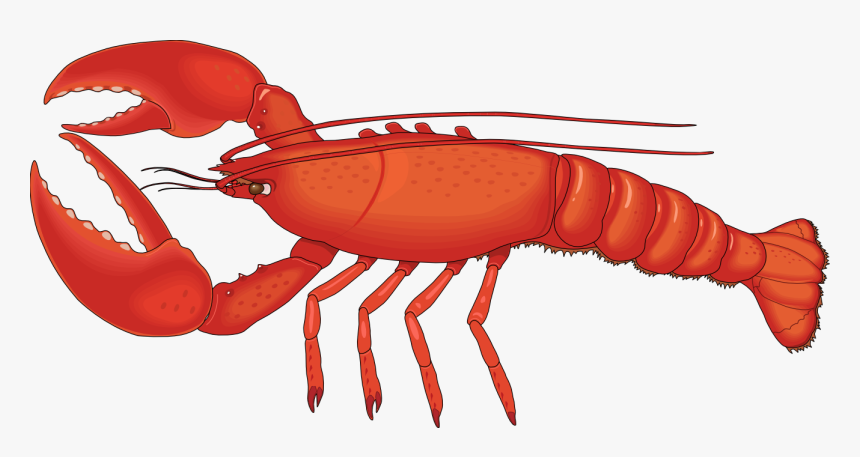 Clip Art Images Panda - Lobster Png, Transparent Png, Free Download