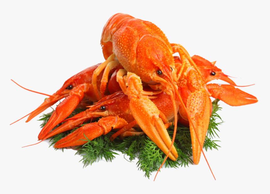 Lobster Png - Crayfish Beer Png, Transparent Png, Free Download