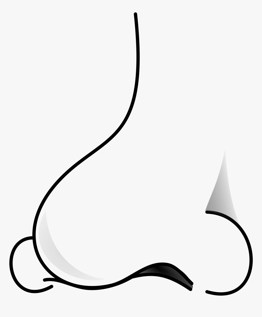 Clipart Nose, HD Png Download - kindpng