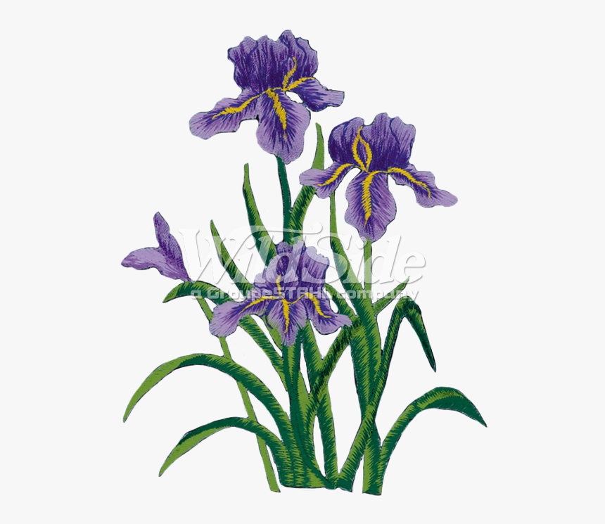 Transparent Flower Side , Png Download - Purple Iris Png, Png Download, Free Download