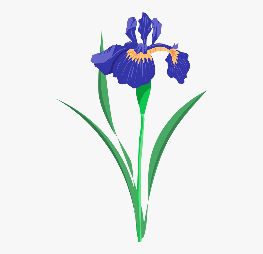 Iris Cliparts - Collierville Fair On The Square, HD Png Download, Free Download