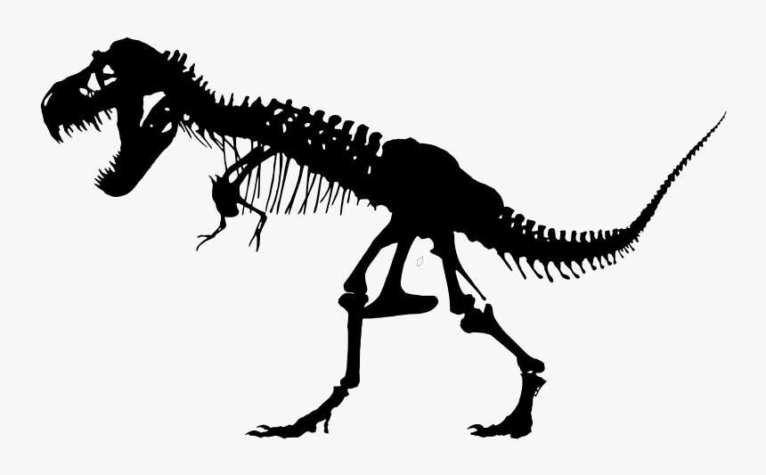 T Rex Skeleton, HD Png Download, Free Download