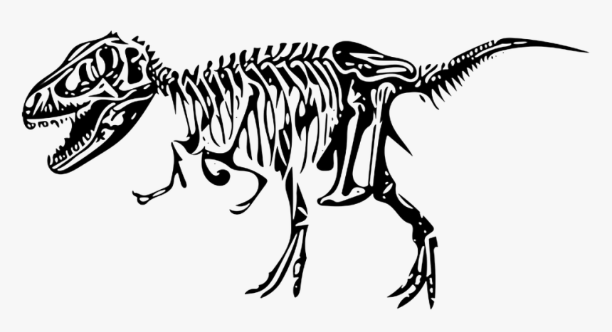Dinosaur, Tyrannosaurus, Bone, Fossil - Background Transparent Fossil Drawing, HD Png Download, Free Download