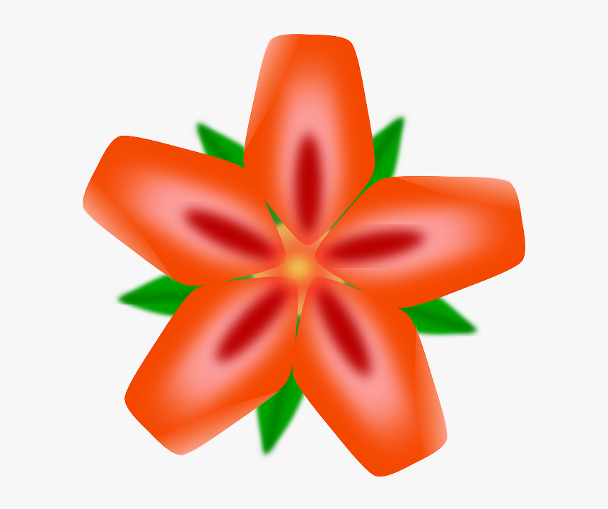 Spring Red, Flower, Flowers, Cartoon, Orange, Border, - Hawaiian Flowers Clip Art, HD Png Download, Free Download