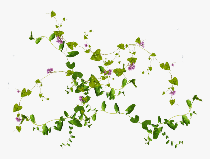 Imagenes De Plantas Png, Transparent Png, Free Download