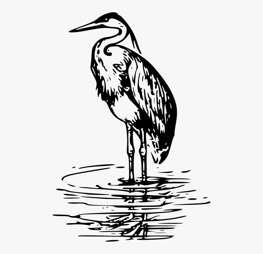 Monochrome - Blue Heron Black White, HD Png Download, Free Download