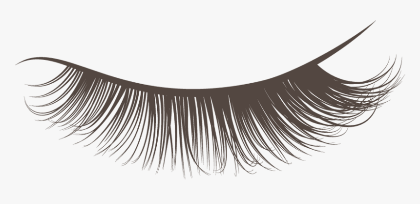 Eyelash Extension Singapore - Eyelash Png, Transparent Png, Free Download