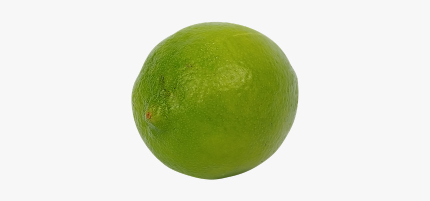 Persian Lime, HD Png Download, Free Download