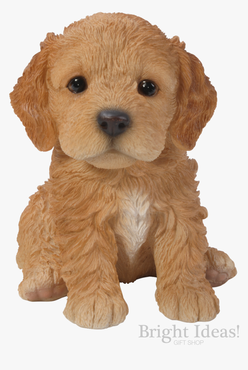 Cockapoo Vivid Arts Pet Pals Puppy Dog Real Life - Cockapoo, HD Png Download, Free Download