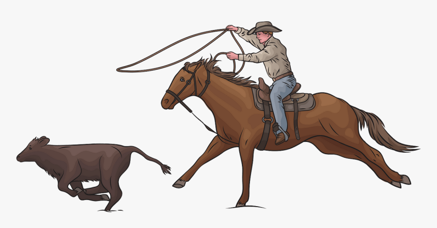 Rodeo Png, Transparent Png, Free Download