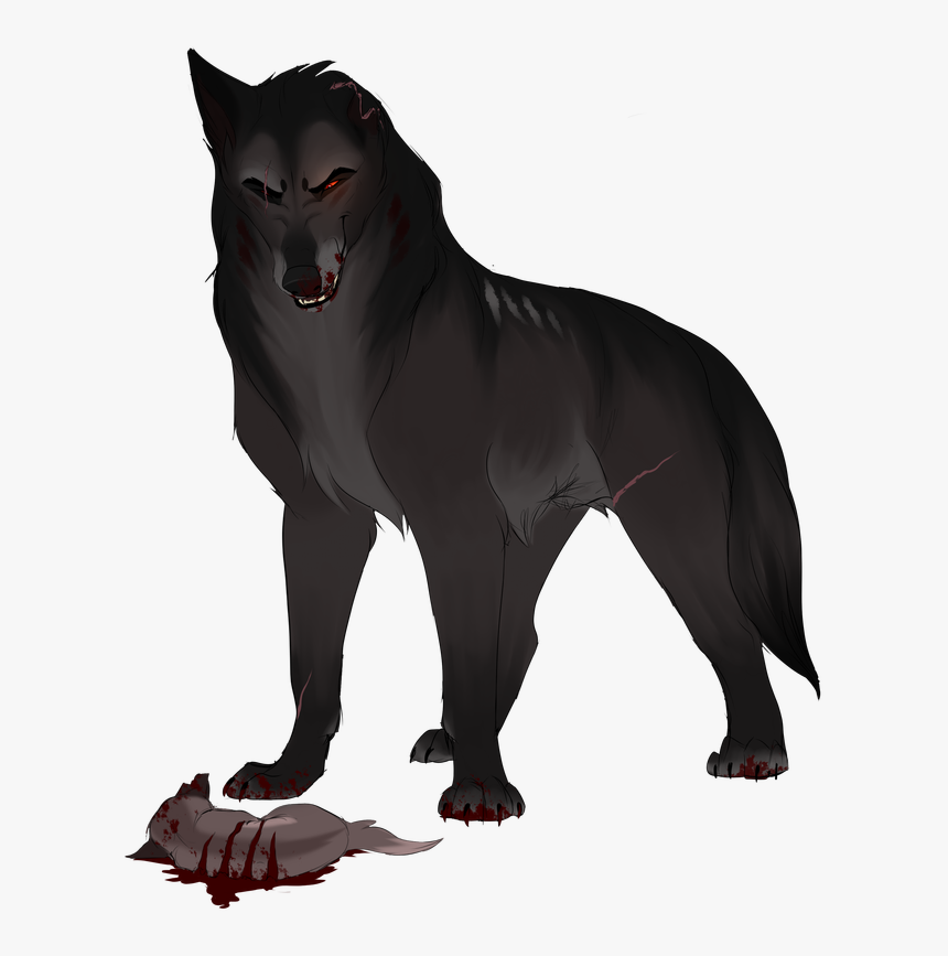 Picture - Schipperke, HD Png Download, Free Download