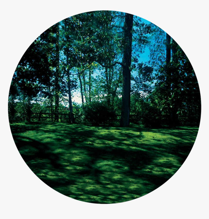 Apollo Meadow - Cs-0109 - Circle, HD Png Download - kindpng