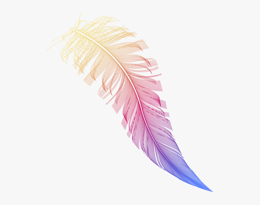 Перо Птицы, Перо, Птицы, Bird Feather, Feather, Birds, - Feather, HD Png Download, Free Download