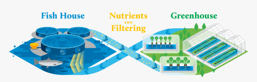 How Our Aquaponic Farm Works Infographic, HD Png Download, Free Download