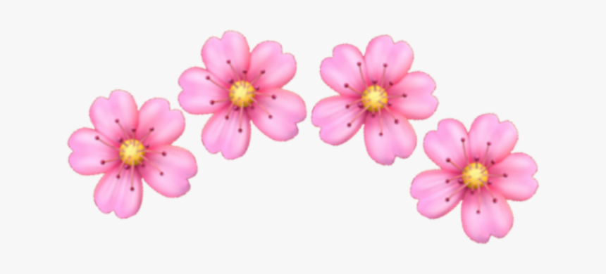 #iphone - Artificial Flower, HD Png Download, Free Download