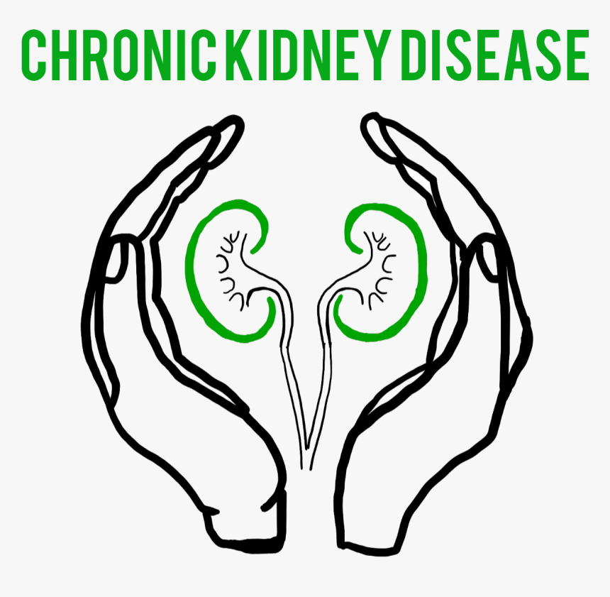 Chronic Kidney Disease Logo, HD Png Download, Free Download