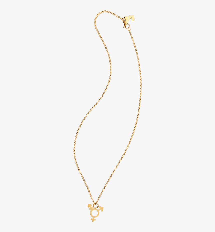 Gold Necklace With Transgender Symbol Charm - Necklace, HD Png Download, Free Download