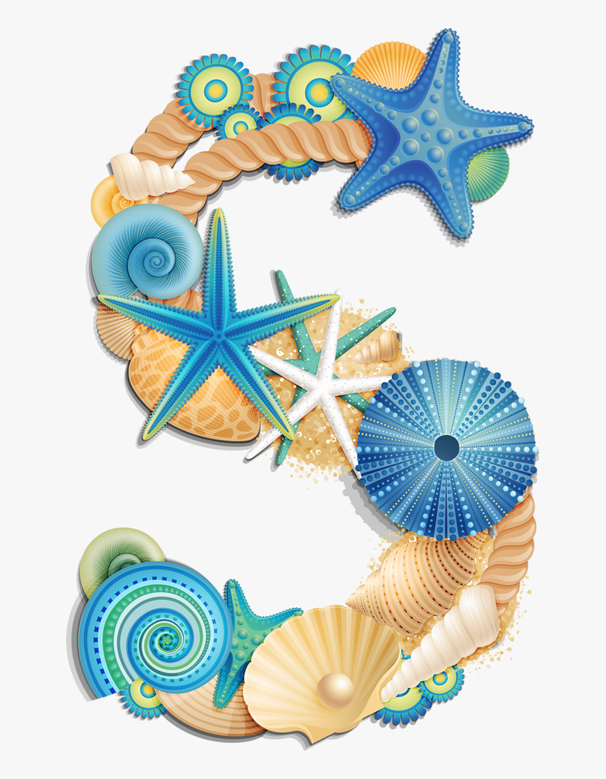 Seashell Alphabet, HD Png Download, Free Download