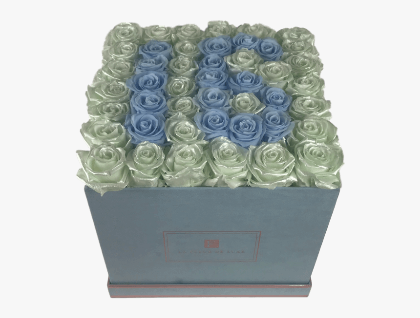 Blue Rose, HD Png Download, Free Download