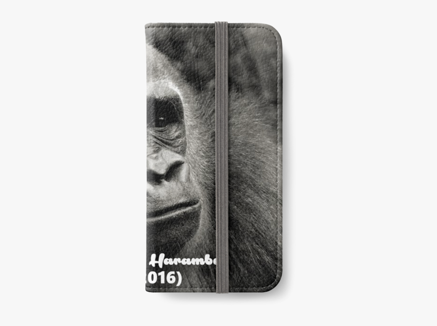 Gorilla, HD Png Download - kindpng