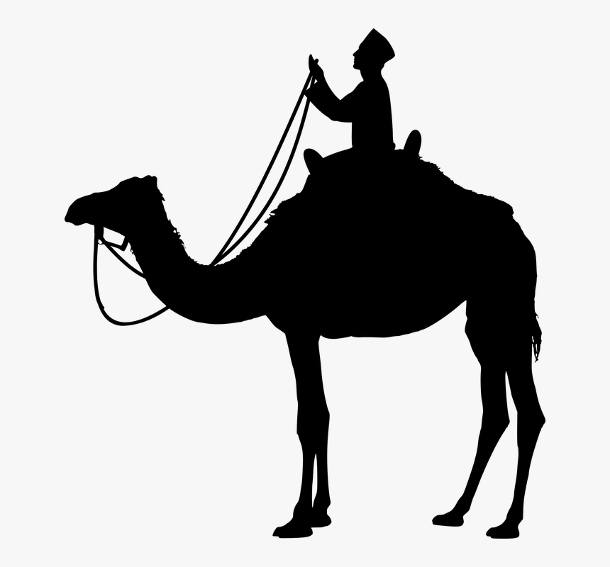 Transparent Camel Silhouette, HD Png Download, Free Download