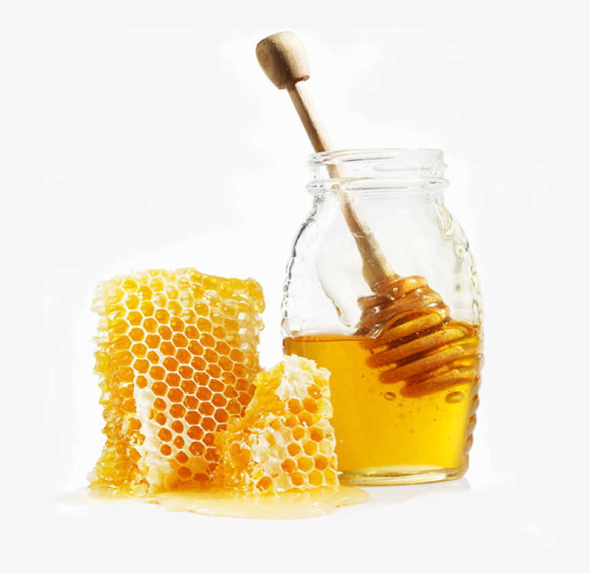 Honey Board, HD Png Download, Free Download