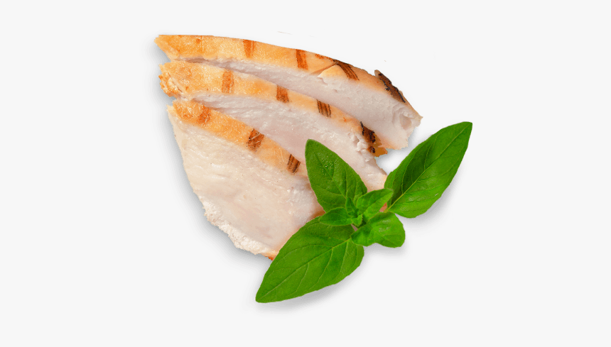 White Turkey Meat Png, Transparent Png, Free Download