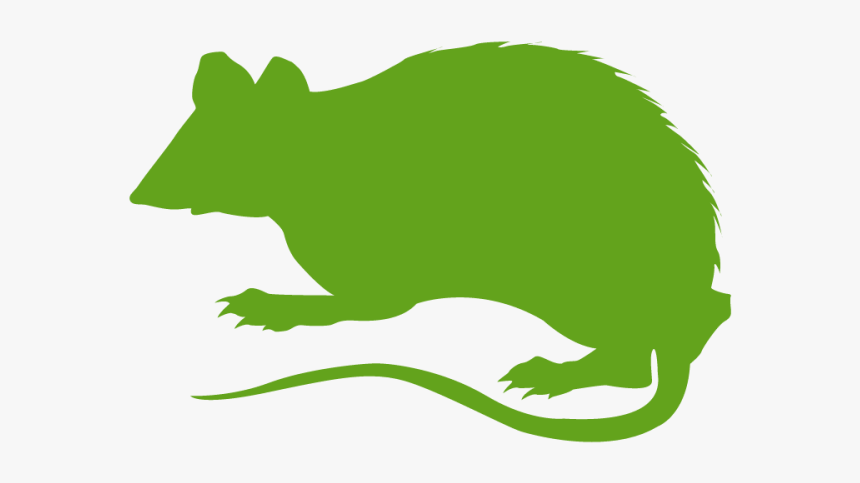 Pest Control Near Milwaukee, Wi - Rodent, HD Png Download, Free Download