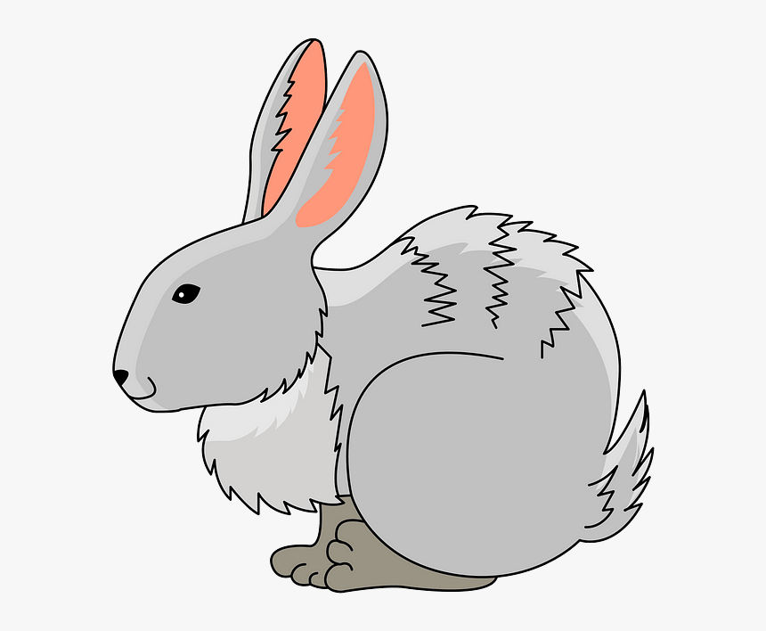 Lapin Clipart, HD Png Download, Free Download