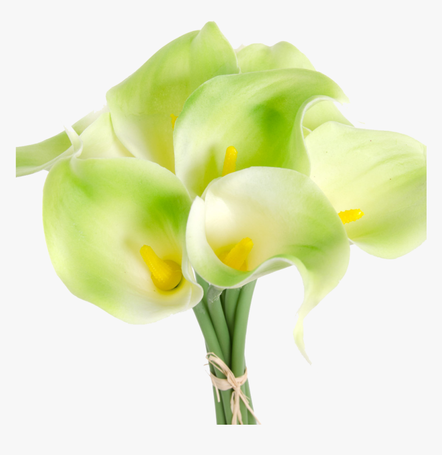 Calla Lilies Flowers Png Clipart - Giant White Arum Lily, Transparent Png, Free Download